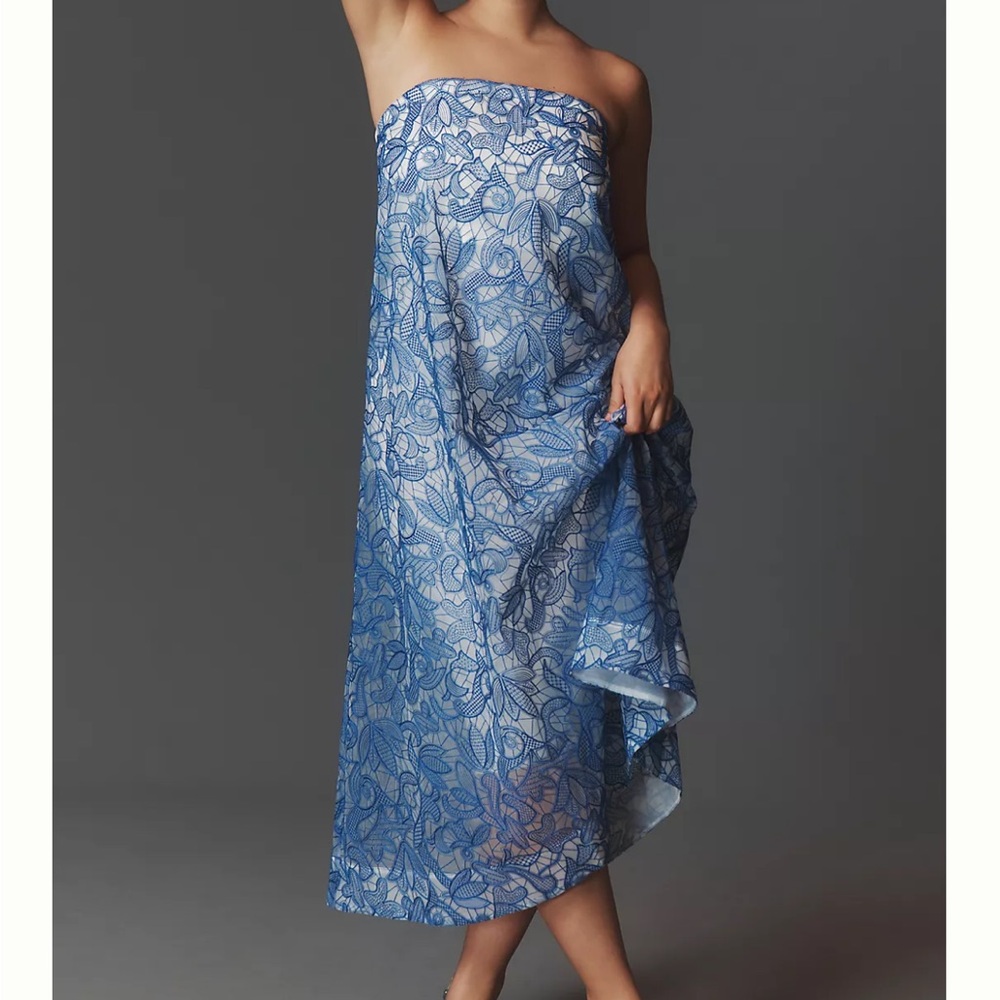 NWT Anthropologie Strapless Embroidered Gown